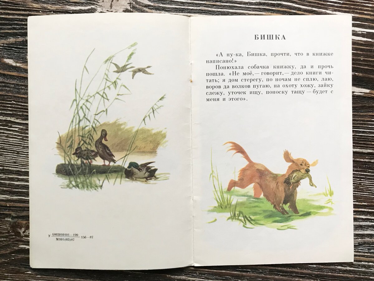 Рассказы о животных ушинский рисунок