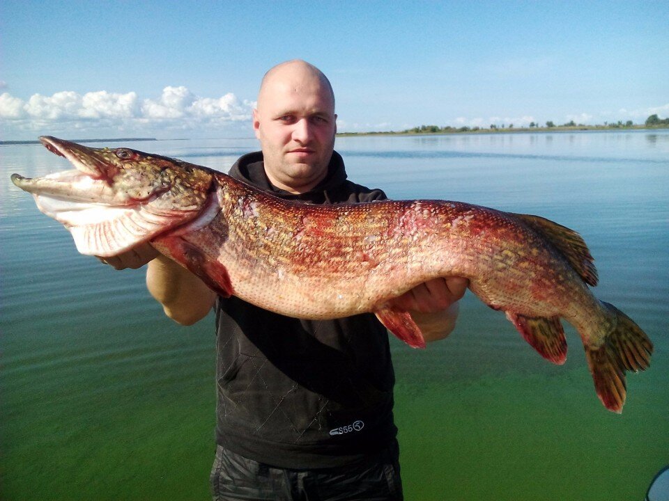 Дмитрий Артищев с трофейной щукой на 8 кг