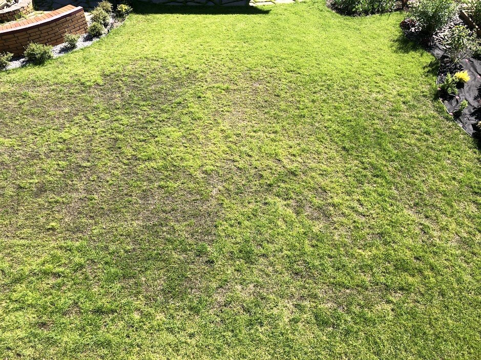 Так он выглядит сейчас в июне 2020 года