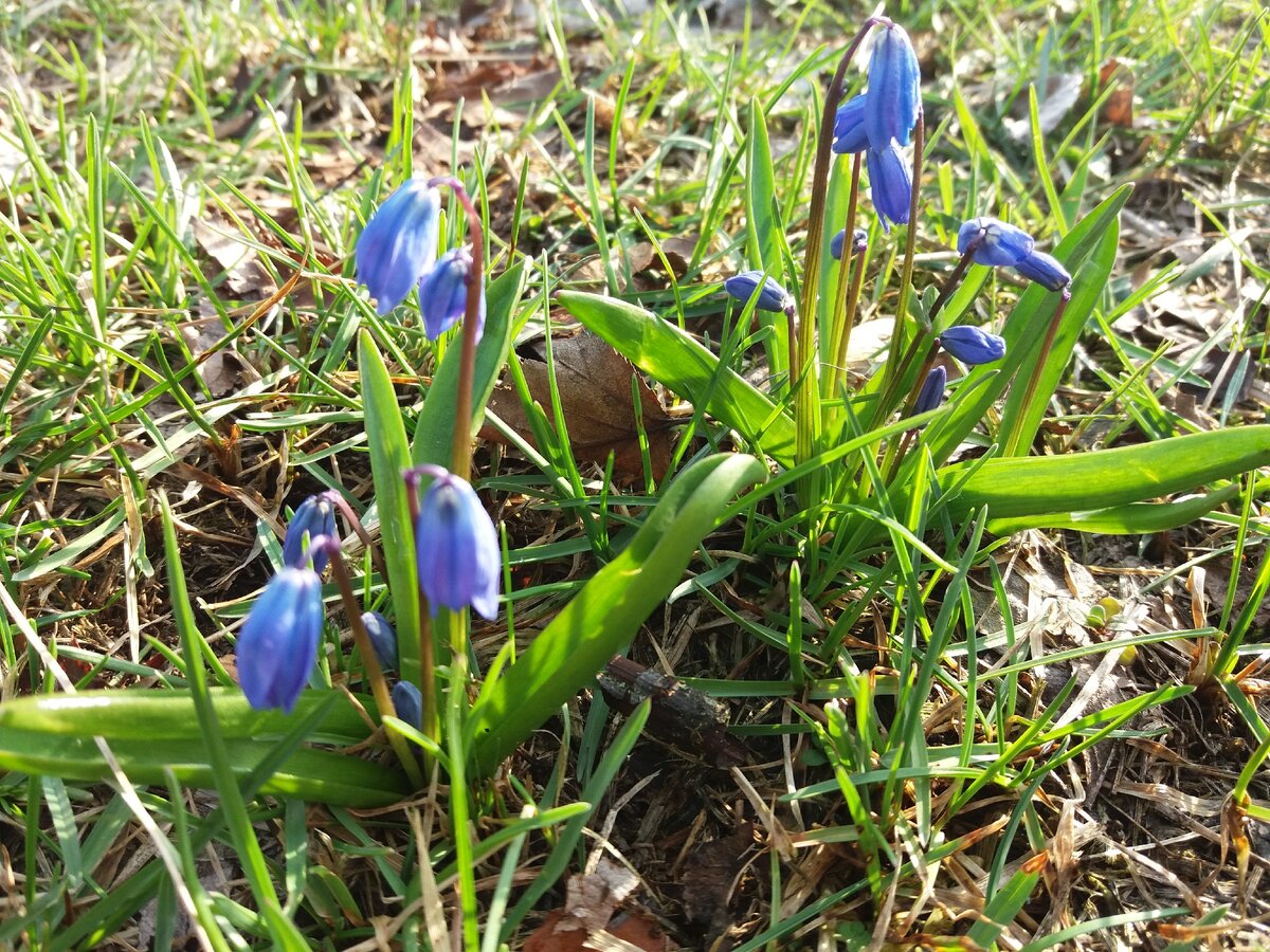 Фото из личного архива