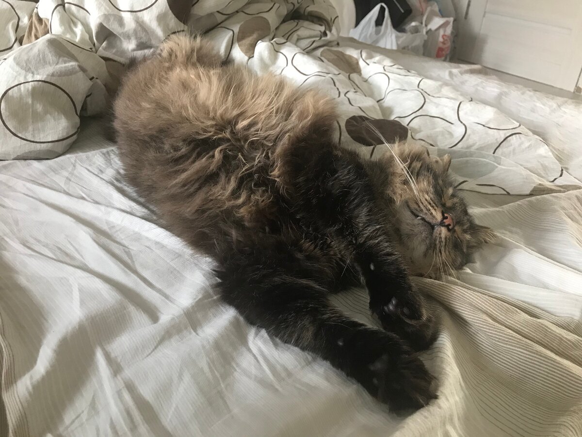 за секунду до потягушек