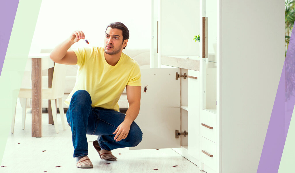 Раскрываю самые популярные у тараканов способы проникновения в ваше жилище.