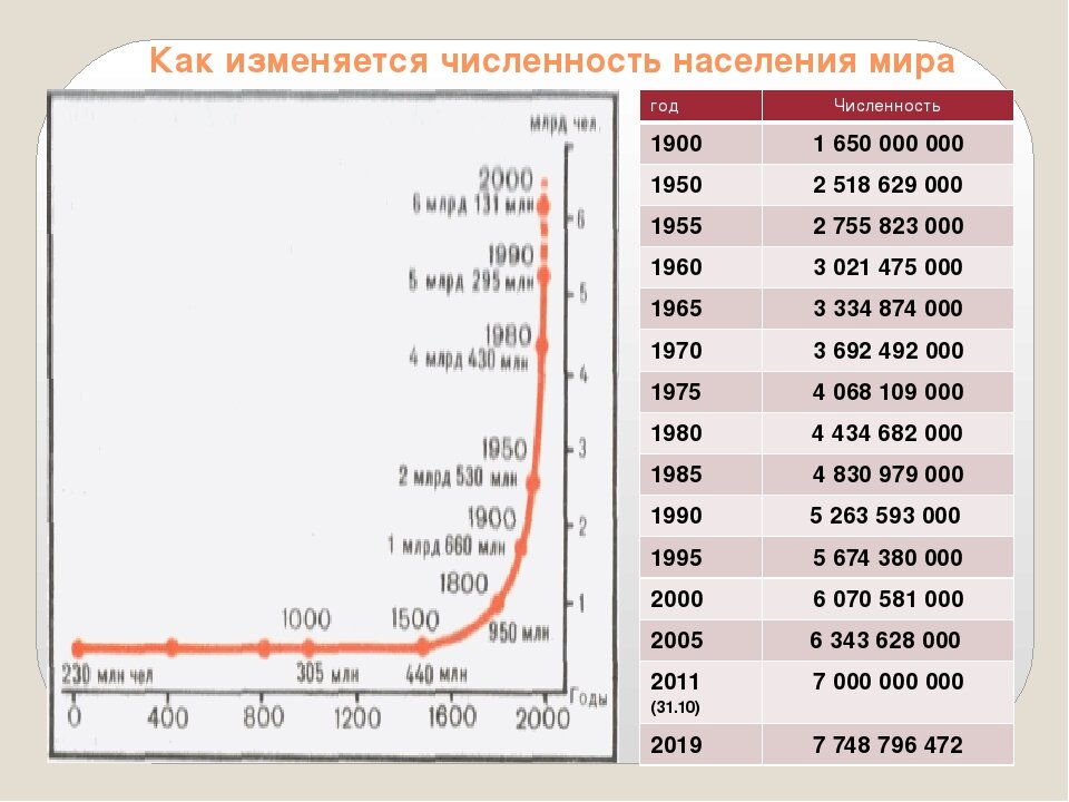 scale_1200