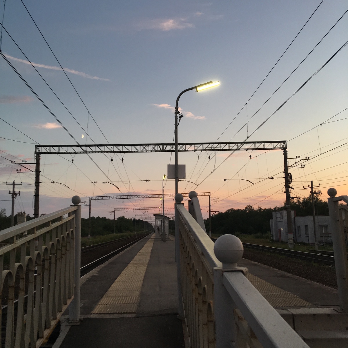 Песнь далёкой ивы.