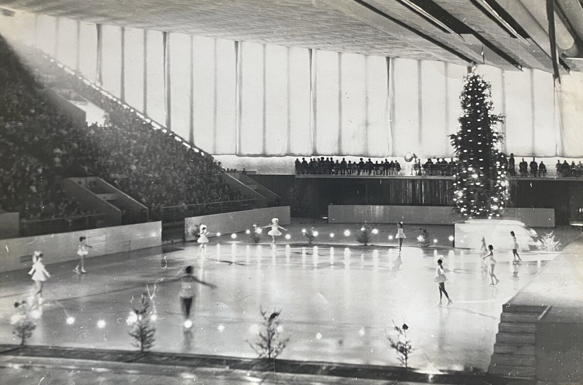 Новогоднее представление