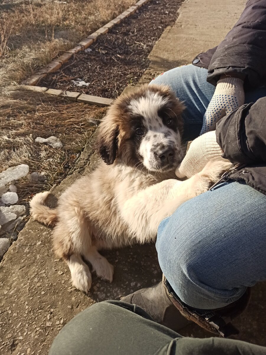 Здесь Гриша ещё совсем маленький) 