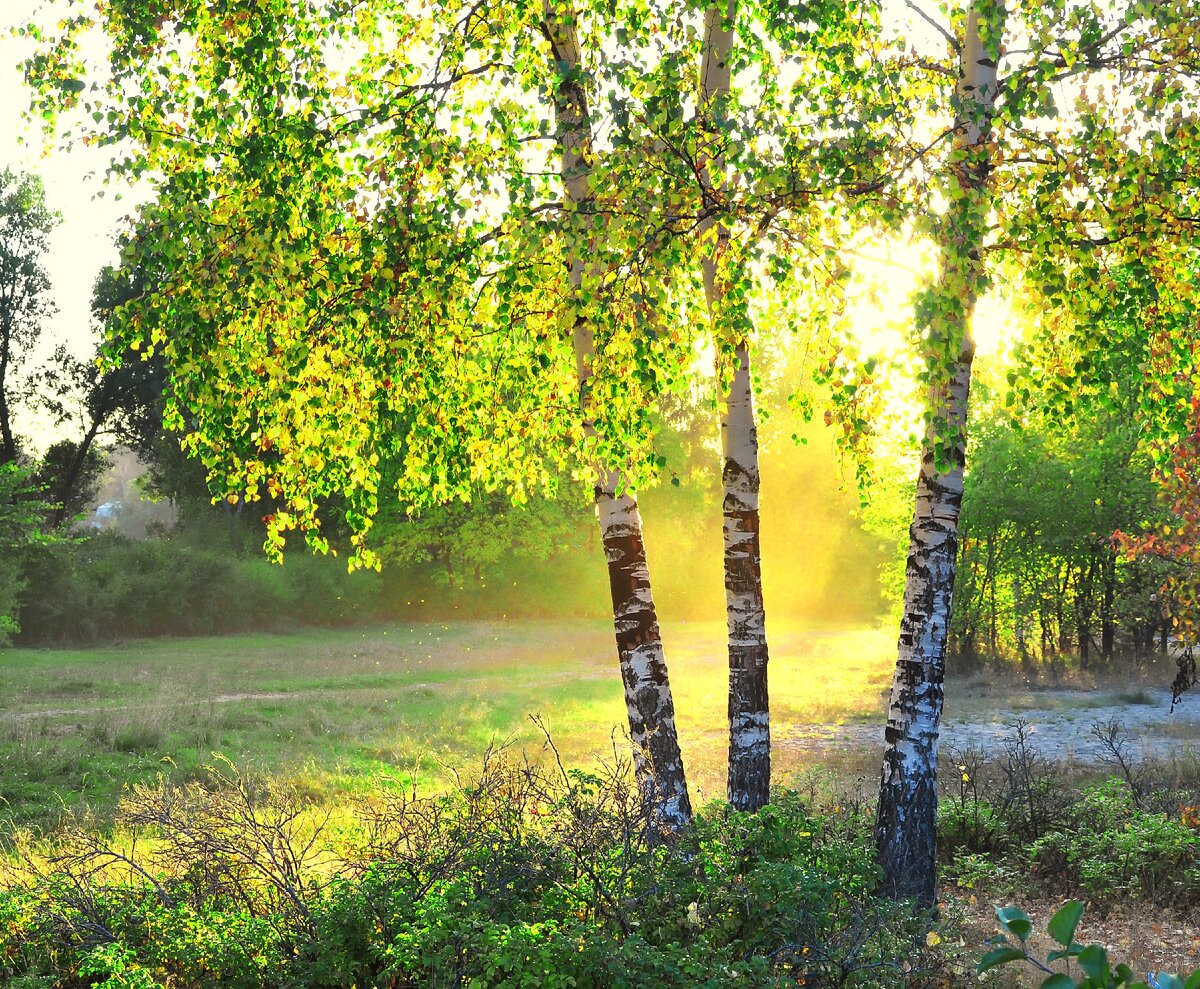 Источник: ru.depositphotos.com