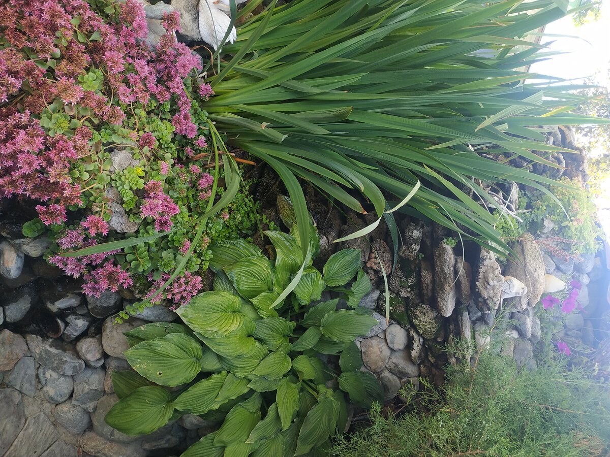 Вот такая вот горка