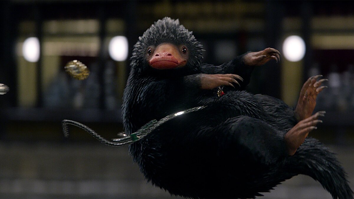 Нюхлер крадёт драгоценности из ювелирной лавки. Фантастические твари.