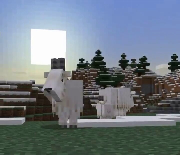 горная коза