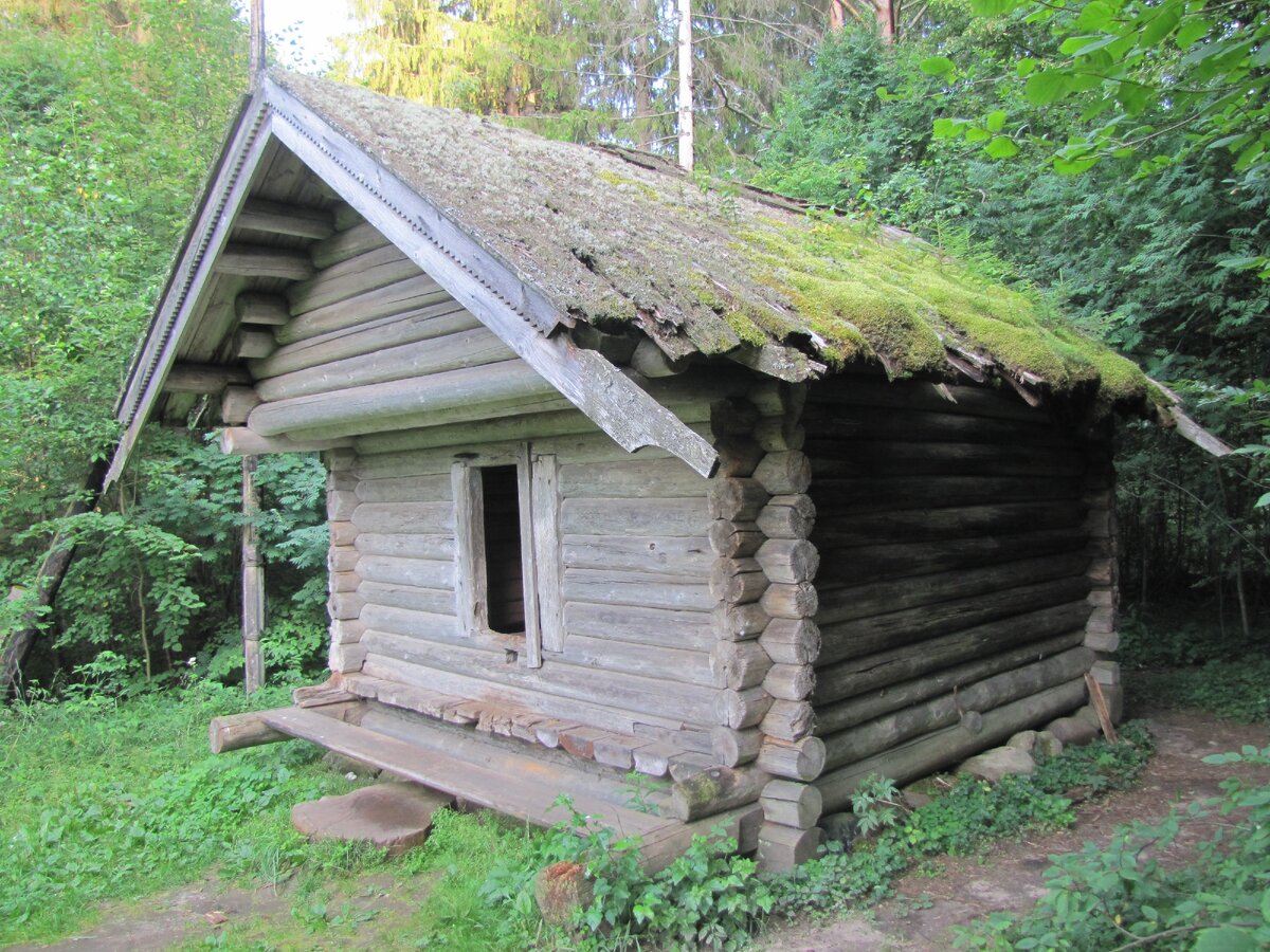 фото автора Елены М.