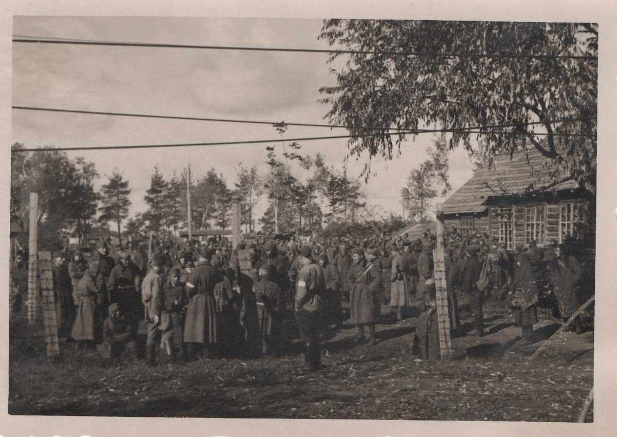 Подпись гласила - лагерь военнопленных под Псковом. Лагерей под Псковом было много, но с этой фотографией продавались виды дороги Псков-Остров. Поэтому можно предположить, что фото сделано у шоссе. Это вполне может быть лагерь в Крестах, который располагался на первых порах прям у шоссе. 