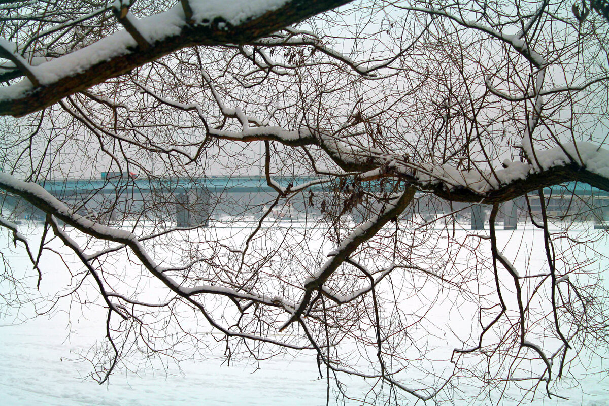 Зима - как с новогодней картинки! Фото автора