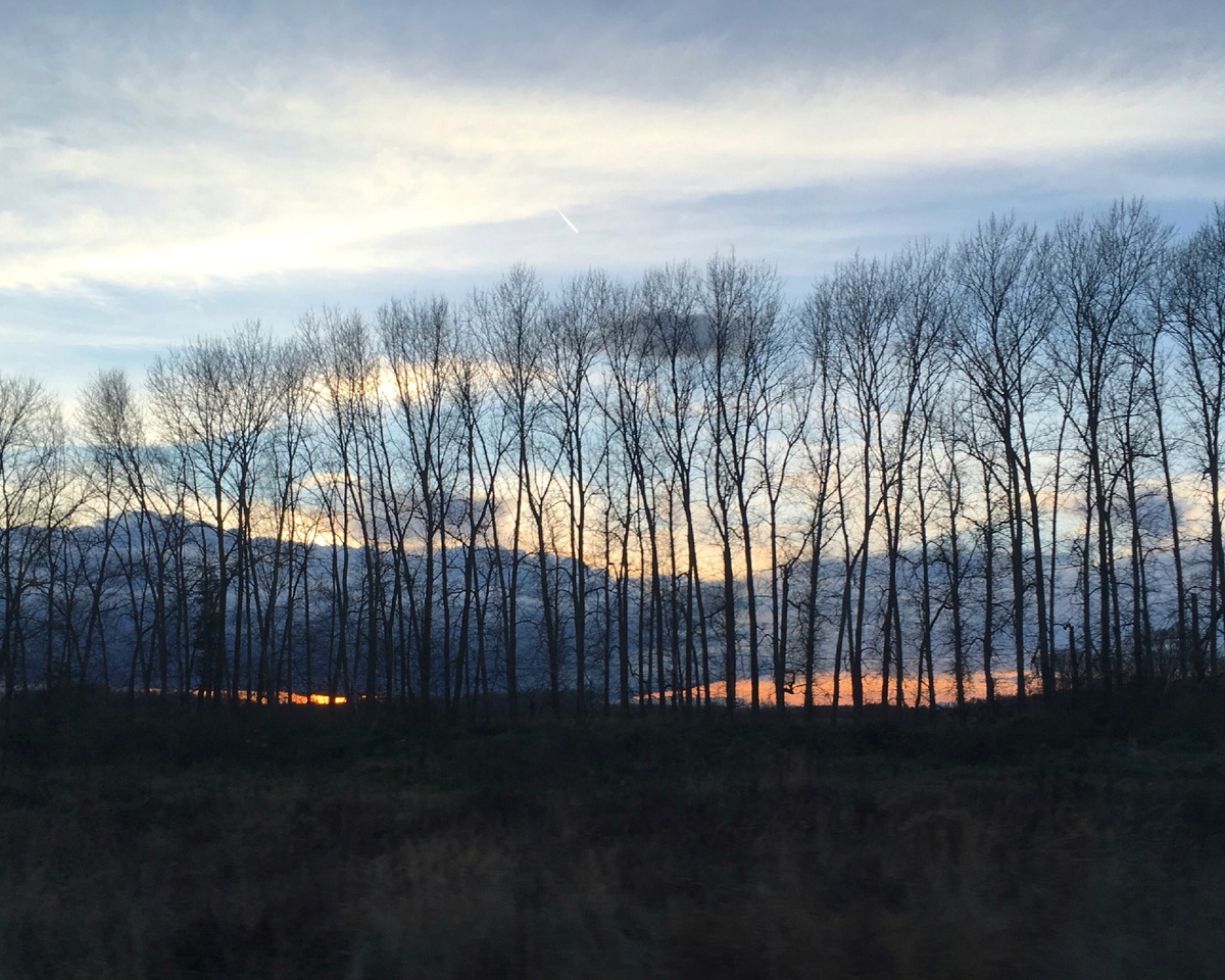 Какой закат необыкновенный! Ноябрь 2020.