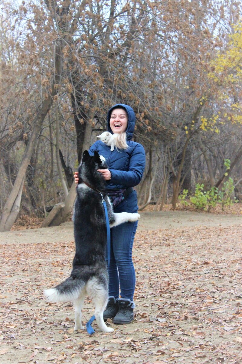 Случай на площадке) 