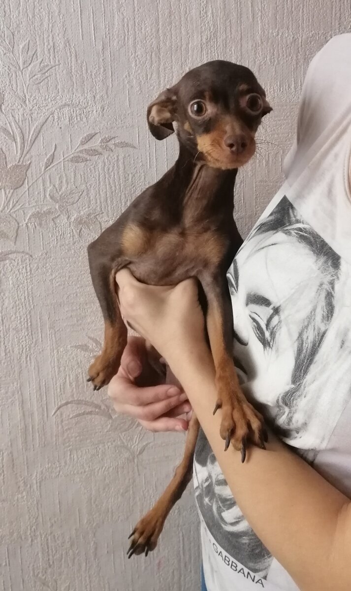 Это наша Шерри