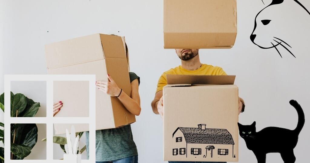 Первые шаги в новый дом