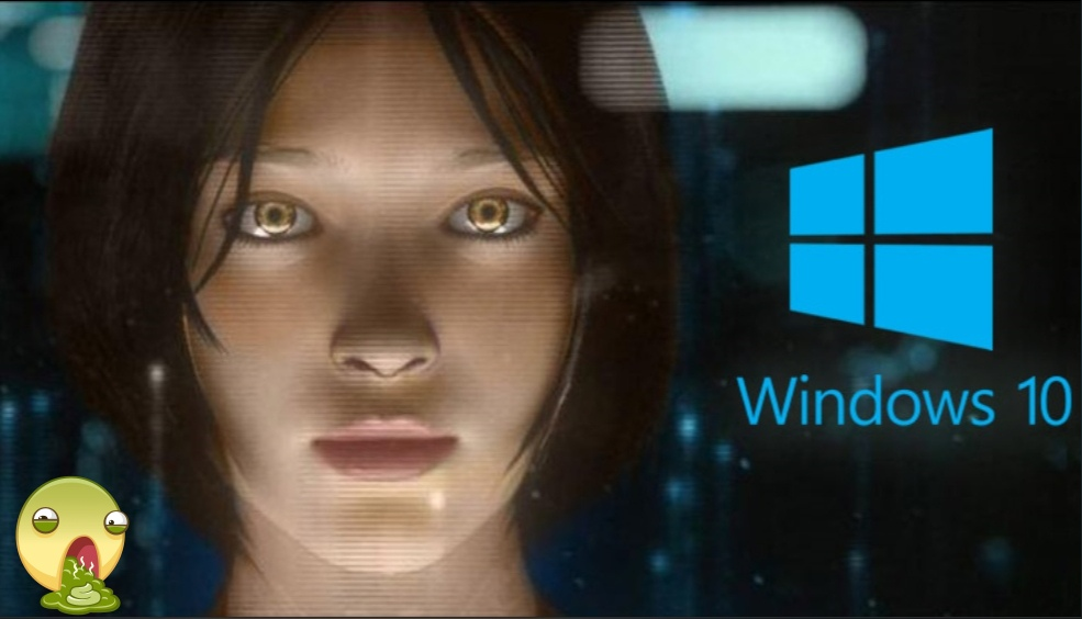 Яндекс картинки свободный доступ 