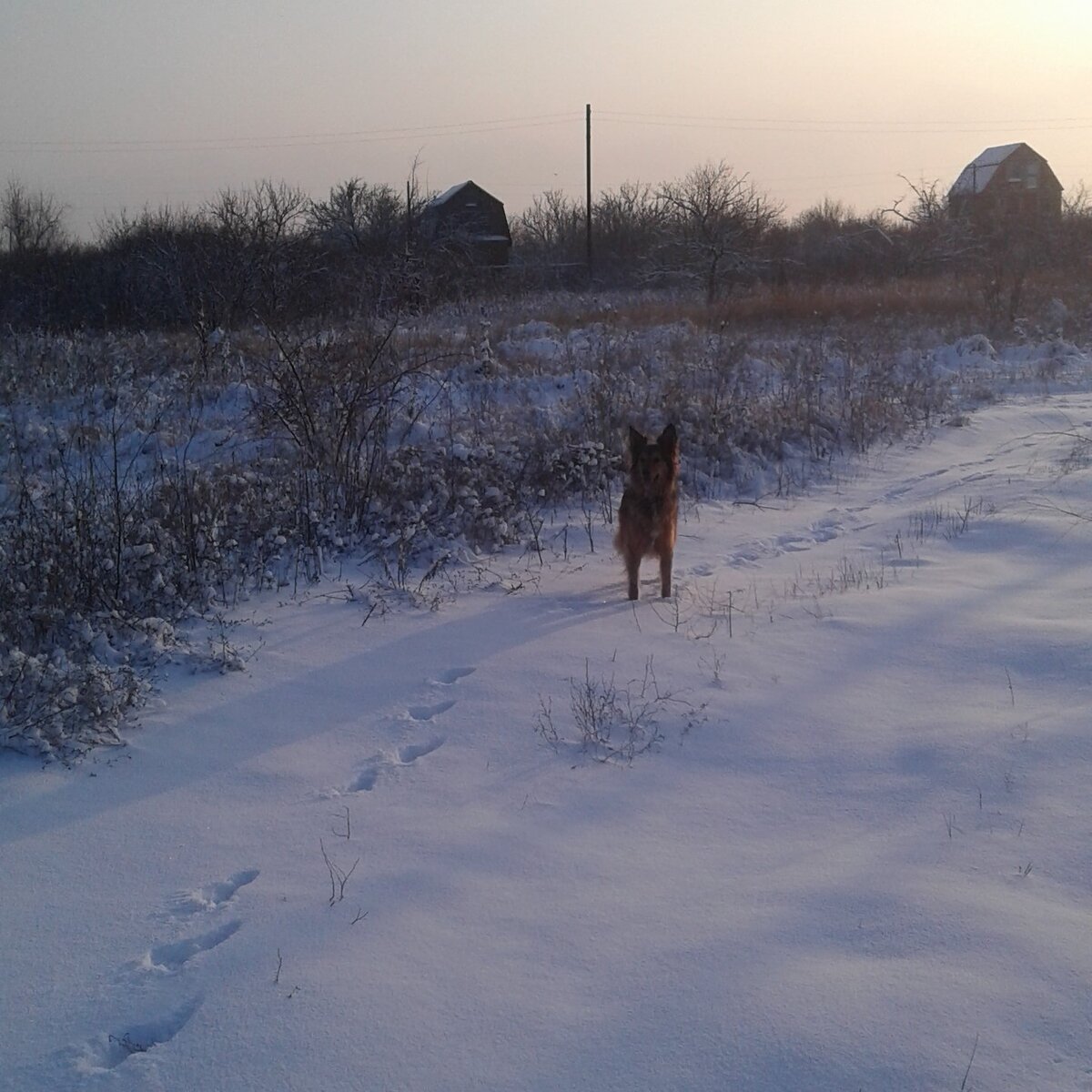 Умница Лора