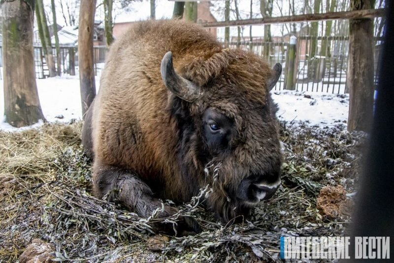 Фото Петра ЧИМКОВСКОГО