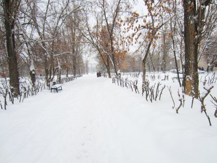 Белый снег заметает подъезды. Белым снегом замело запуржило занесло. Волгоград занесло снегом. Армавир занесенный снегом. Конец февраля село Кочки занесенное снегом.