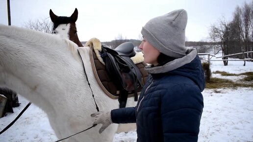 Деревенская жизнь. Занимаемся с лошадью. Нубийские козы