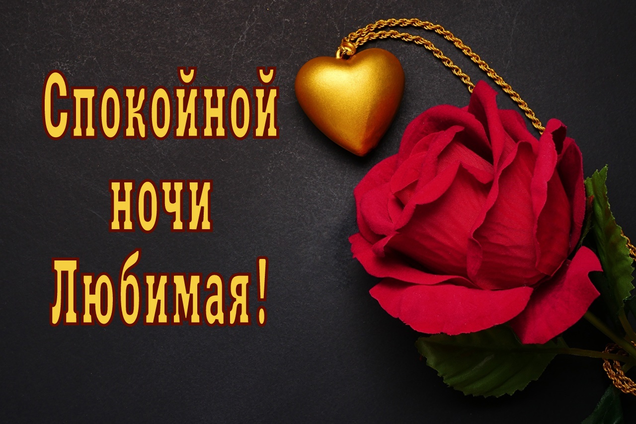 Спокойной ночи любимая