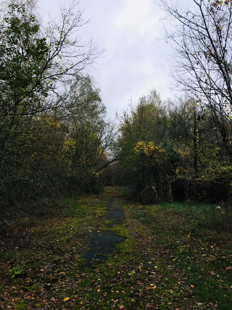 Улица поселка