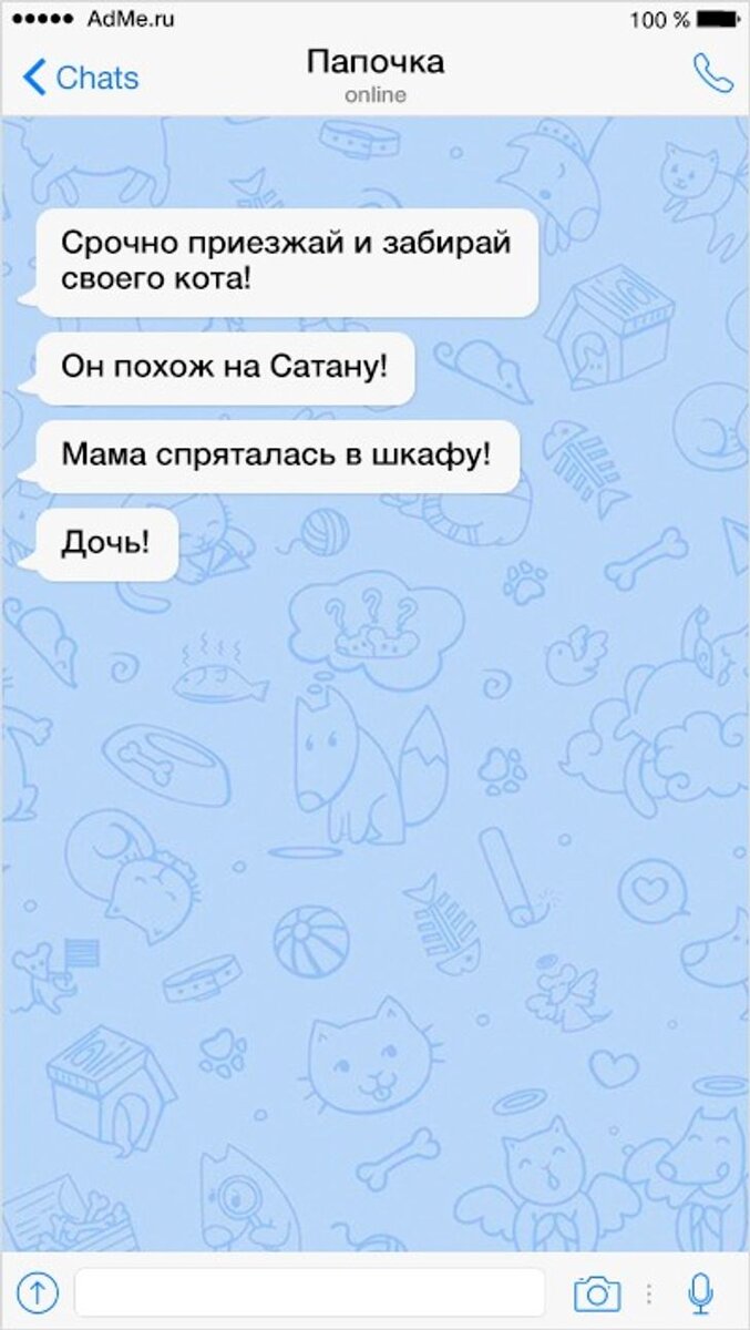 Пап чат. Смешные сообщения. Батя года. Чат родителей юмор. Пап чат.