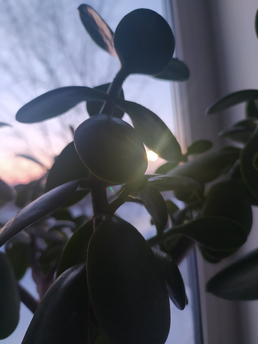 Солнце с нами..