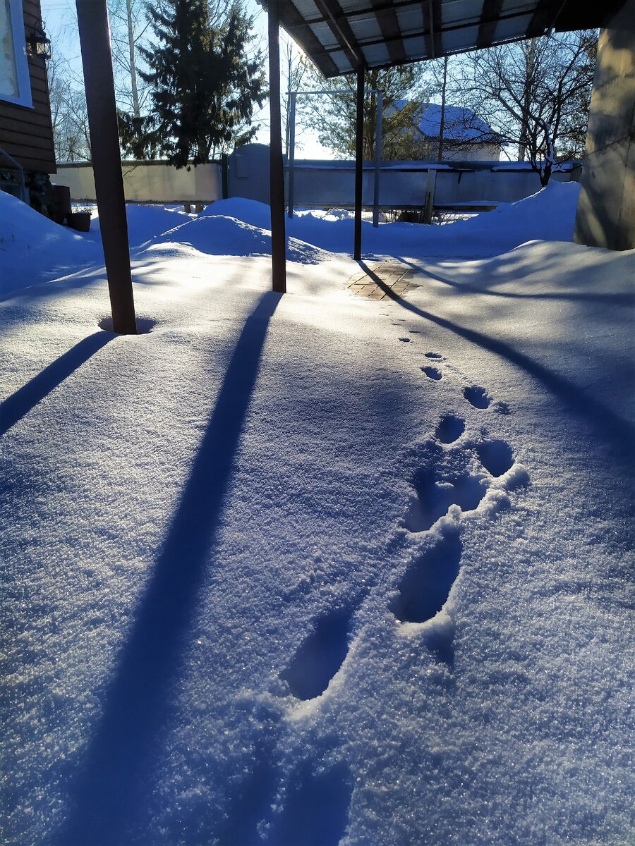 В нашем дворе зимой