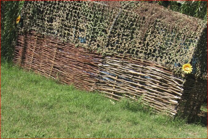 Трава без комаров, фото автора