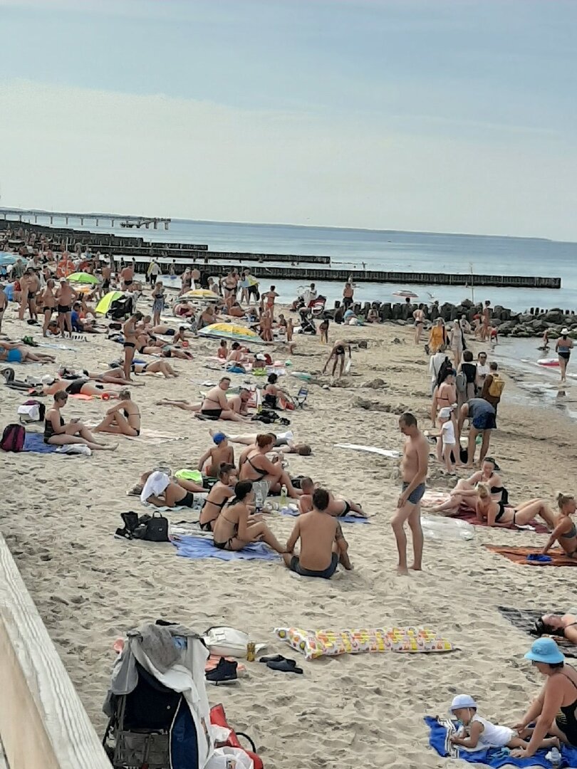 Отдых на Балтийском море. Что нужно знать туристу, приезжающему в  Калининградскую область. | Мой дом - Калининград | Дзен