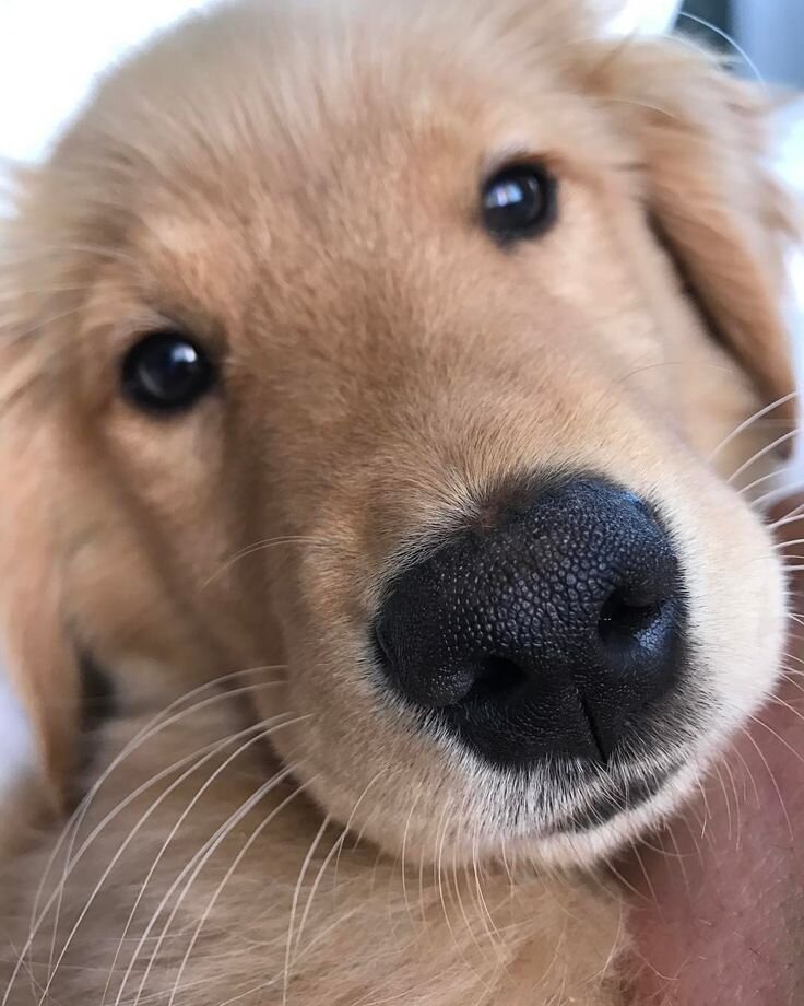 Фото взято из открытых источников Яндекс