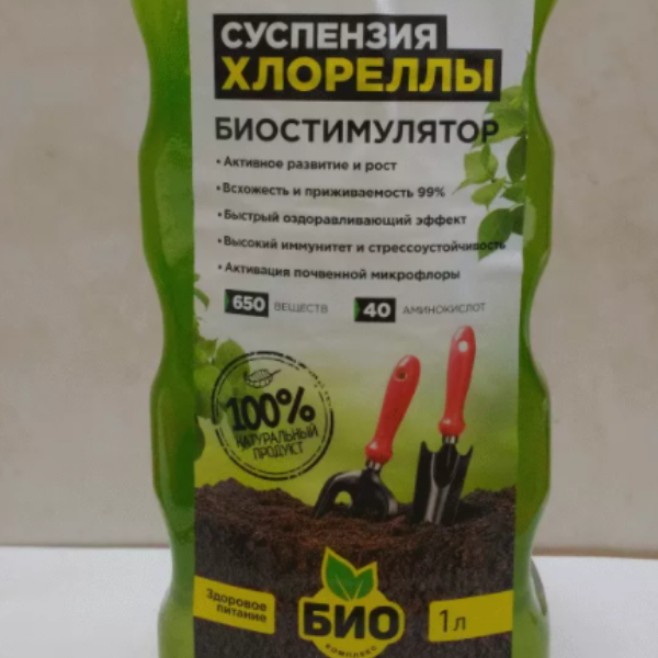 Суспензия хлореллы. Фтот автора