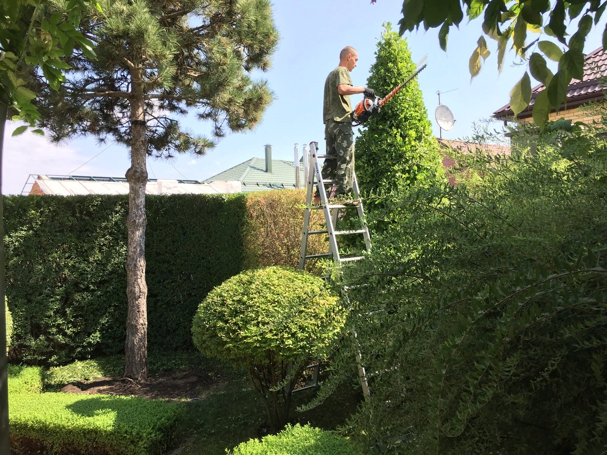 фото: "Садовый лабиринт"