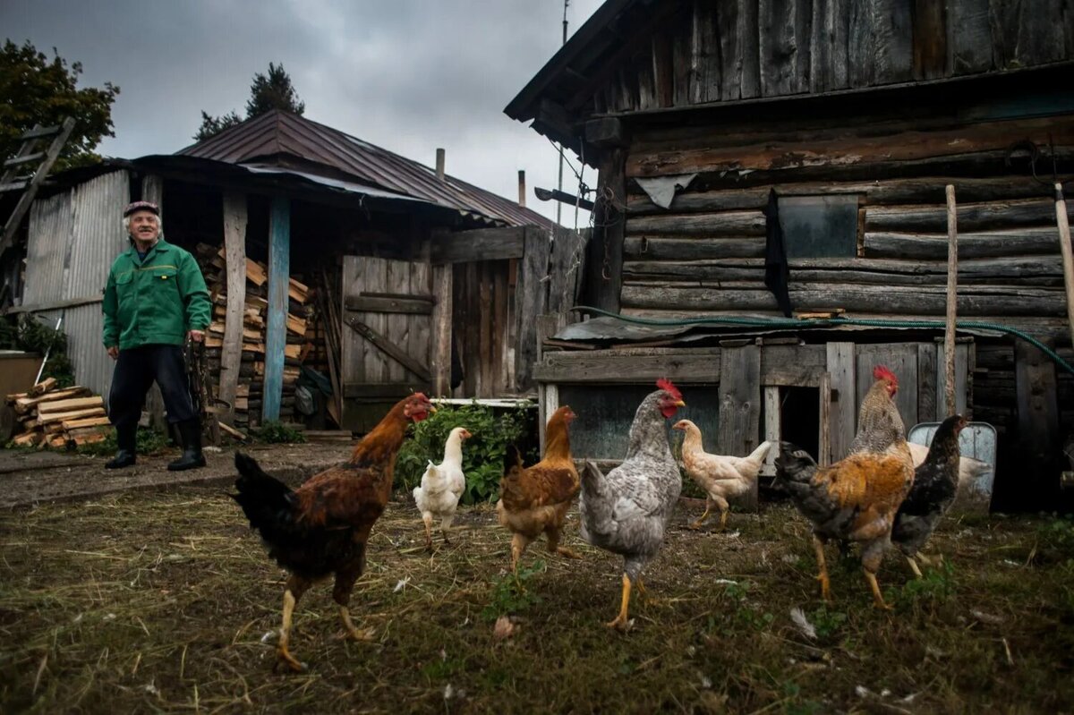 Картинка из свободных источников