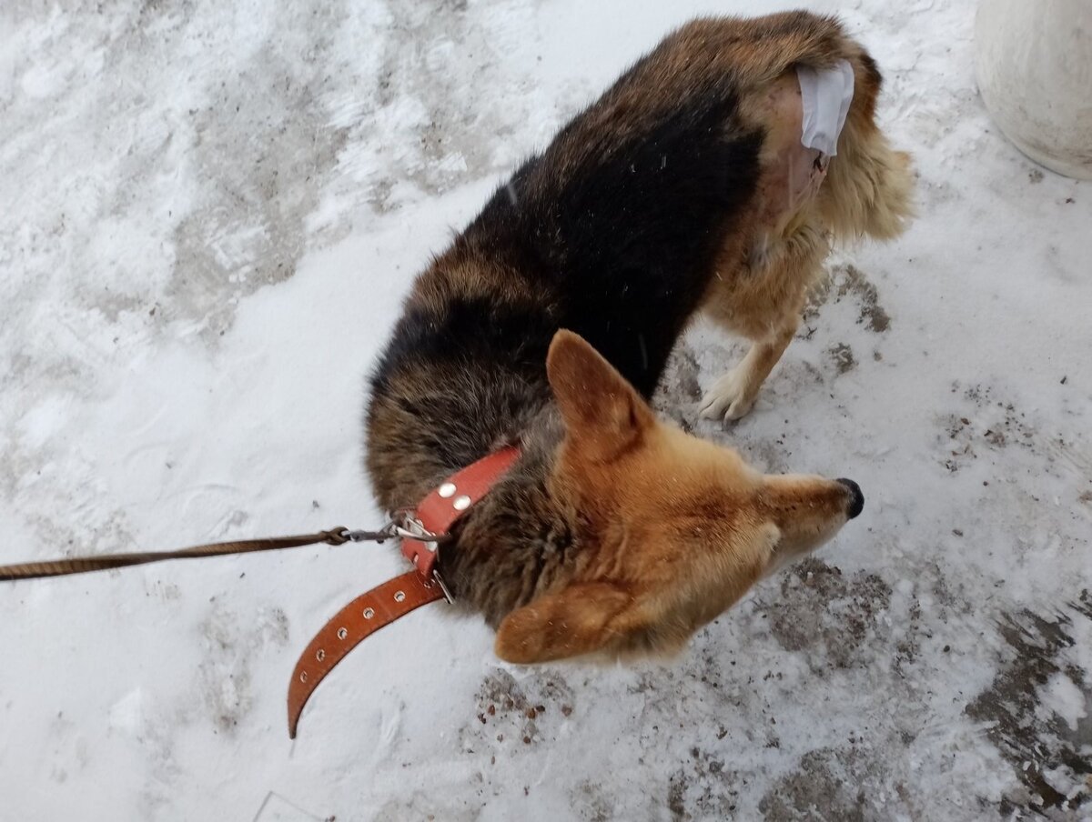 Катя на прогулке