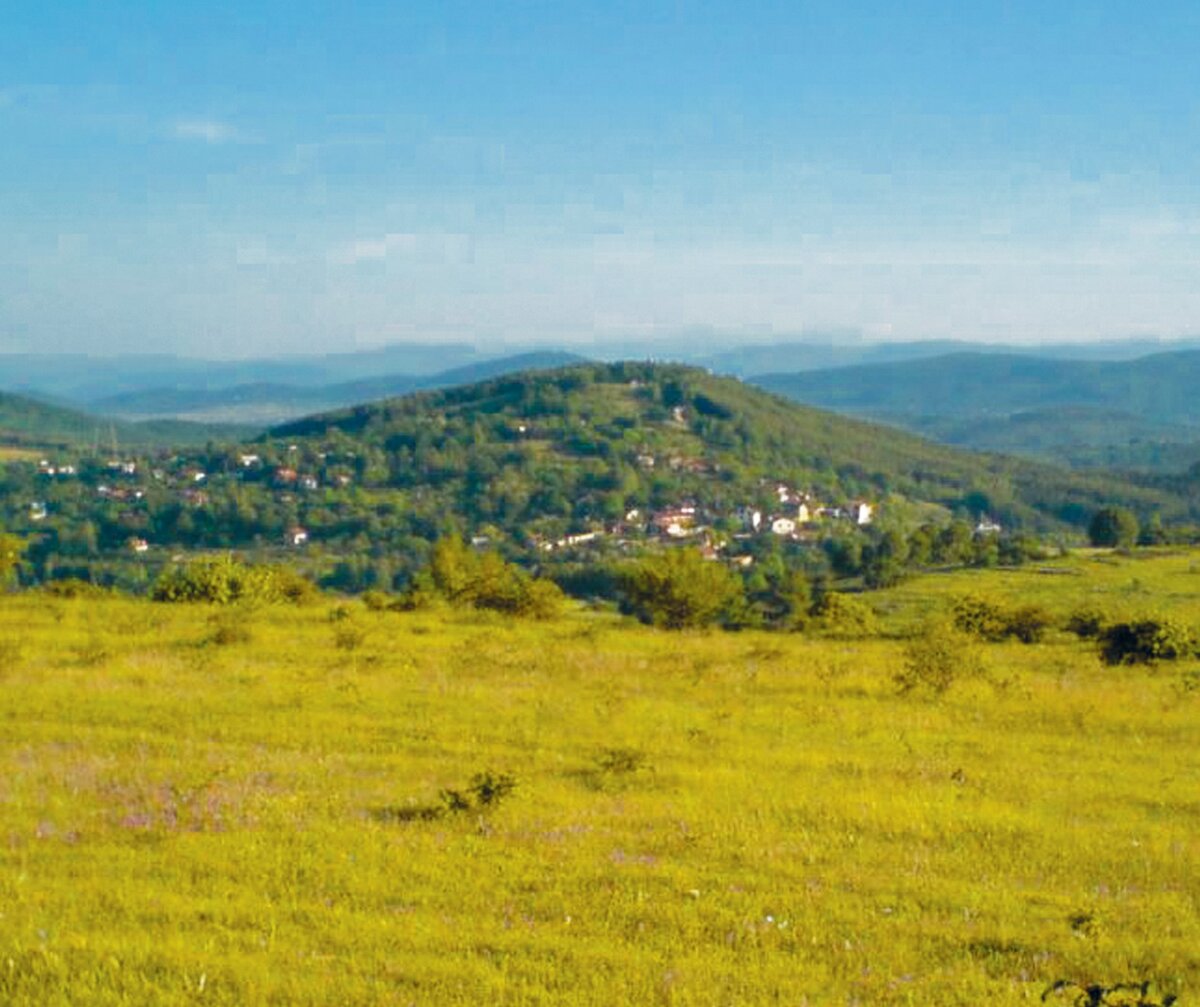 Территория вокруг с. Царичина