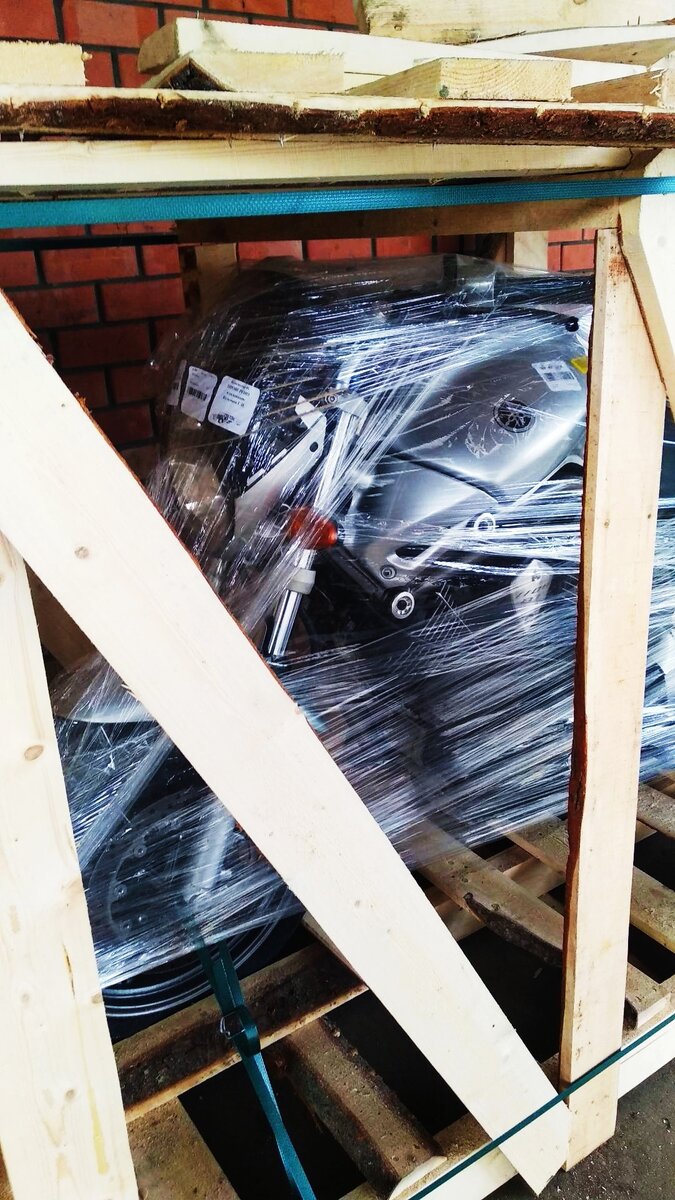 Мой Бульдог