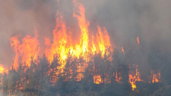    В Аланье начался крупный пожар, местных жителей эвакуируют Сергей Бунеев
