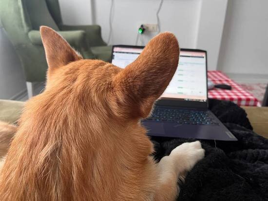     фото: мк в туле