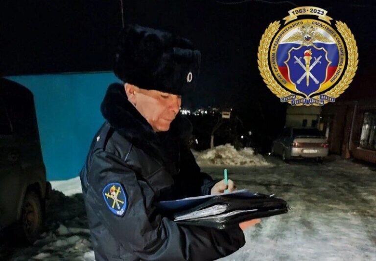    В Бугуруслане пьяный 33-летний мужчина обезобразил побоями мать и ограбил ее Марина Шарт