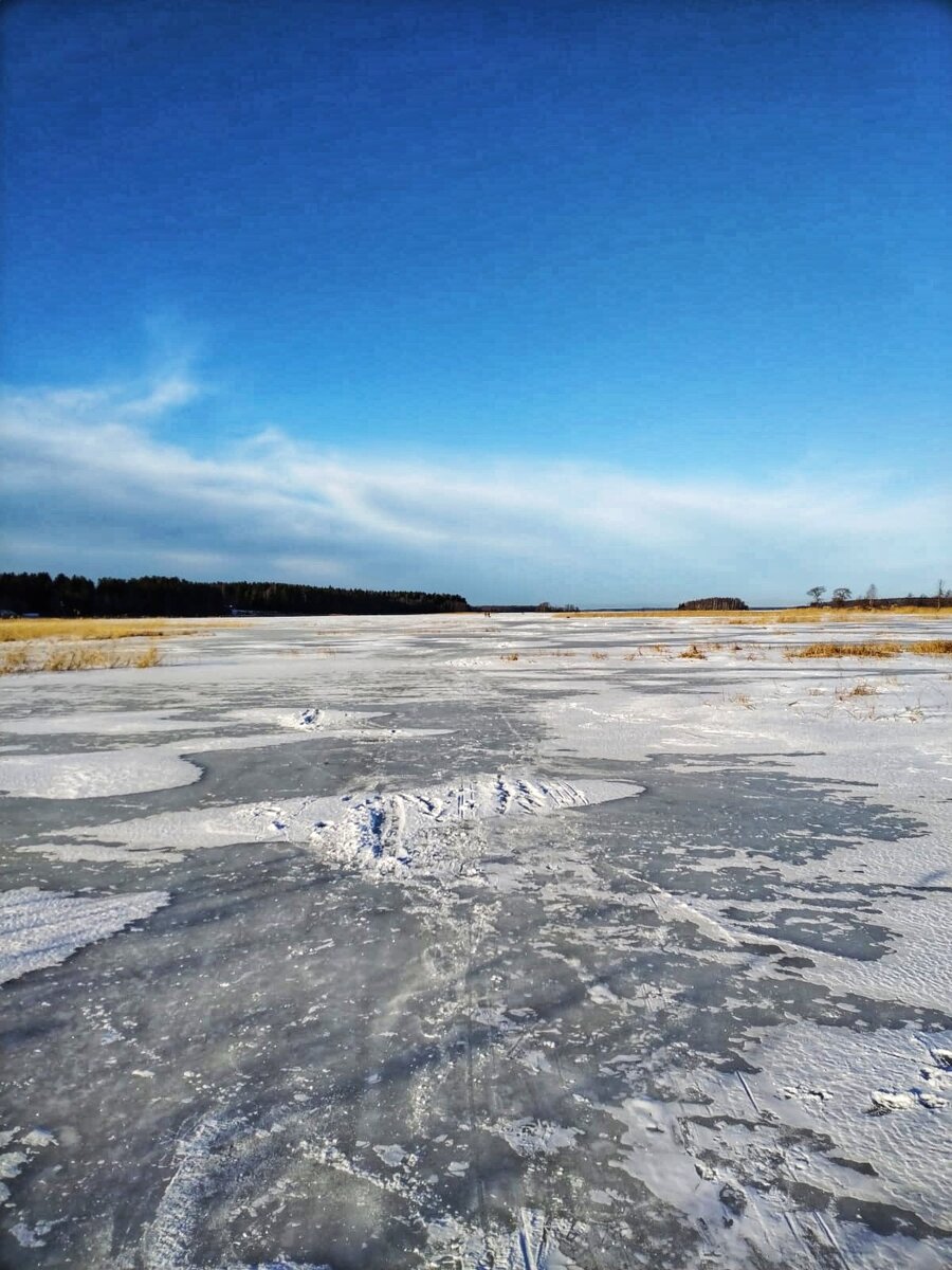 Финский залив