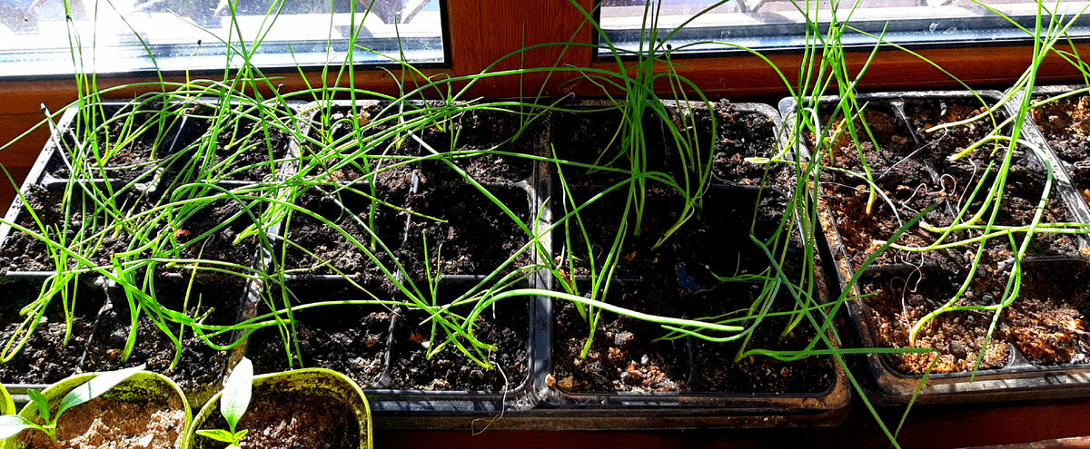 "Эксибишн" от "Партнера". Фото автора. 