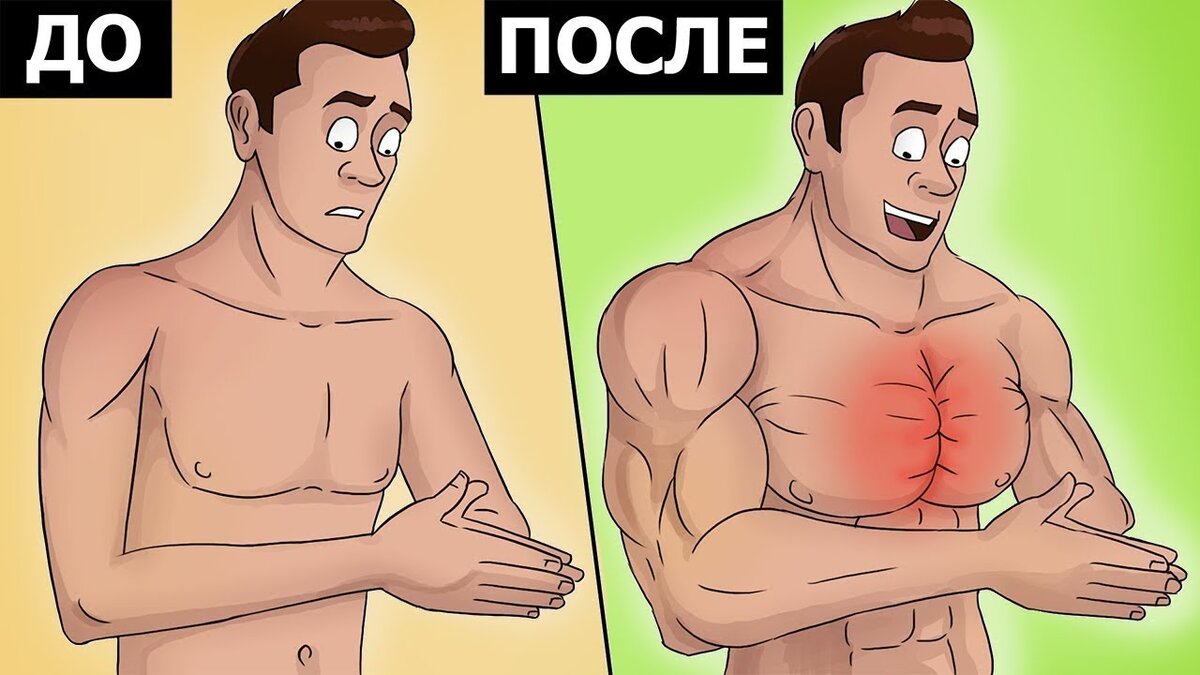 (Картинка взята с YouTube канала your fit)