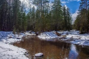    Фото: photocentra.ru Валерия Трофимова