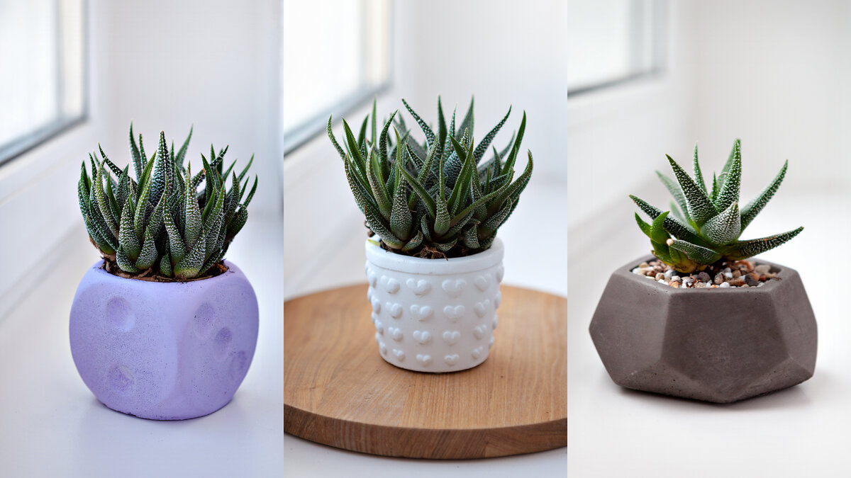 Три варианта дизайна цветочных горошков из бетона