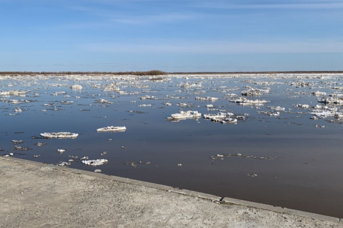 Омск под водой. Ледоход на Балхаше. Ледоход Терек. Загрязнение воды в Новосибирской области. Отход льда в реках.