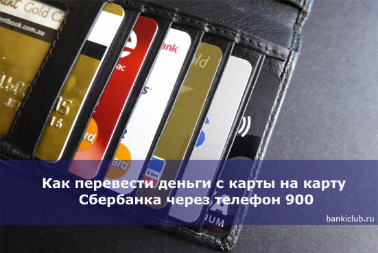 Фото: pxhere.com